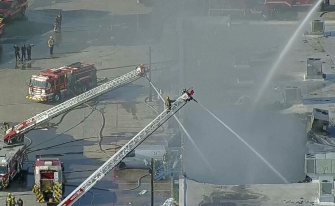 Los 579 animales de la tienda de mascotas en Plaza Latina, en el noroeste de Dallas, murieron por inhalación de humo. Foto: AP