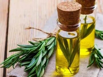 El aceite esencial y natural que ayuda a quitar la mucosidad durante el cambio de estación