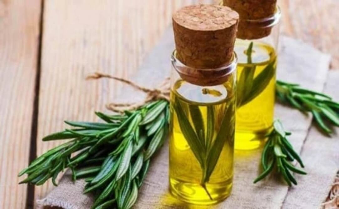 El aceite esencial ayuda a quitar la mucosidad. Foto: Pixabay