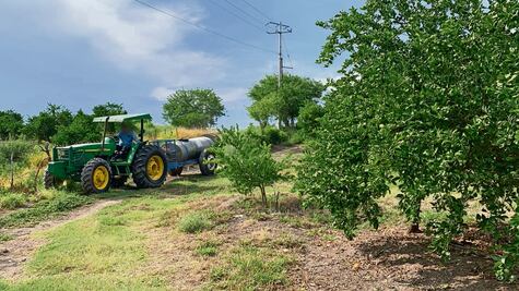 Extorsión ahoga a ganaderos y agricultores de Michoacán
