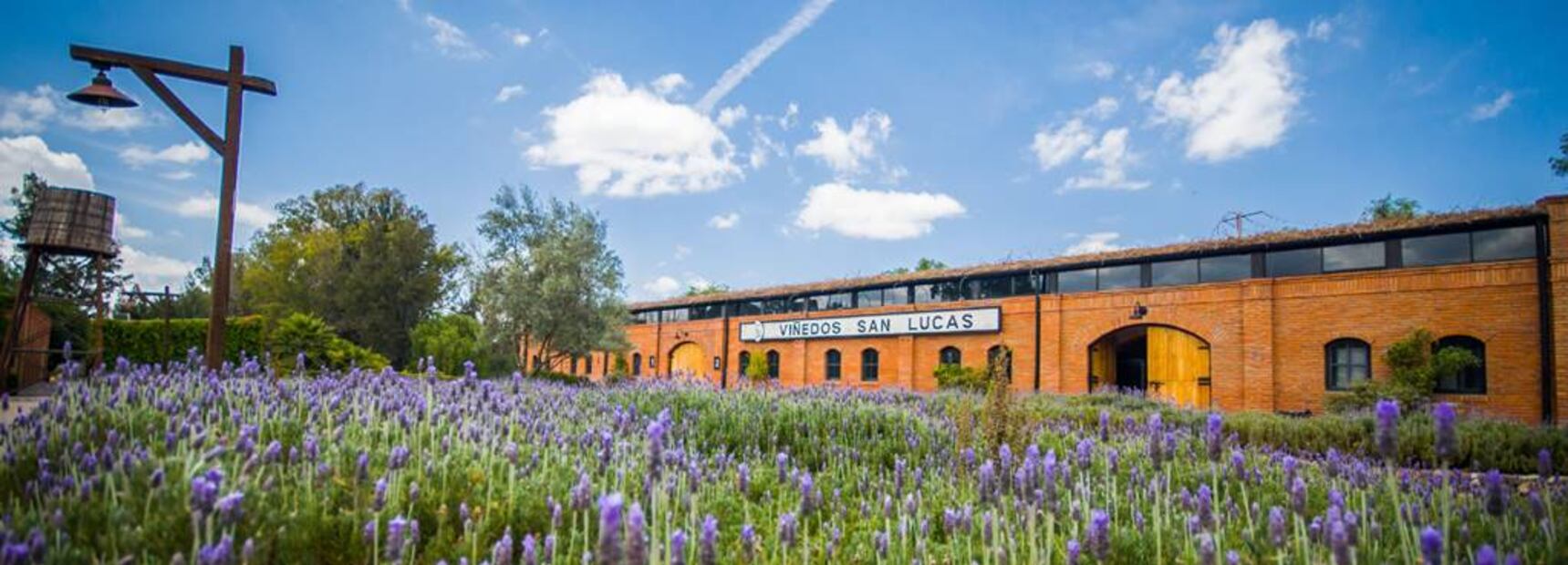 Foto: La Santísima Trinidad