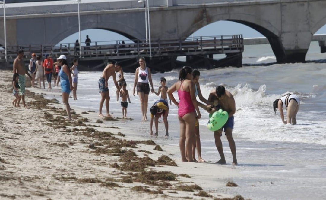 Puerto Progreso, Yucatán es uno de los seis puertos que se modernizarán en el sexenio de la presidenta Claudia Sheinbaum. Foto: Especial