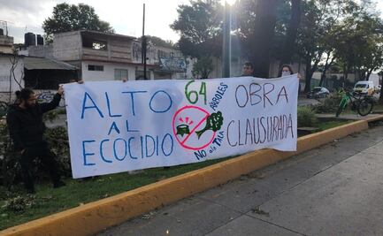 Denuncian ecocidio por derribo de árboles de 40 años de antigüedad en Xalapa, Veracruz