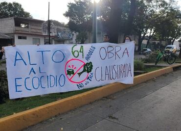 Denuncian ecocidio por derribo de árboles de 40 años de antigüedad en Xalapa, Veracruz