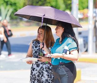 Buscan refugiarse de los intensos rayos del sol