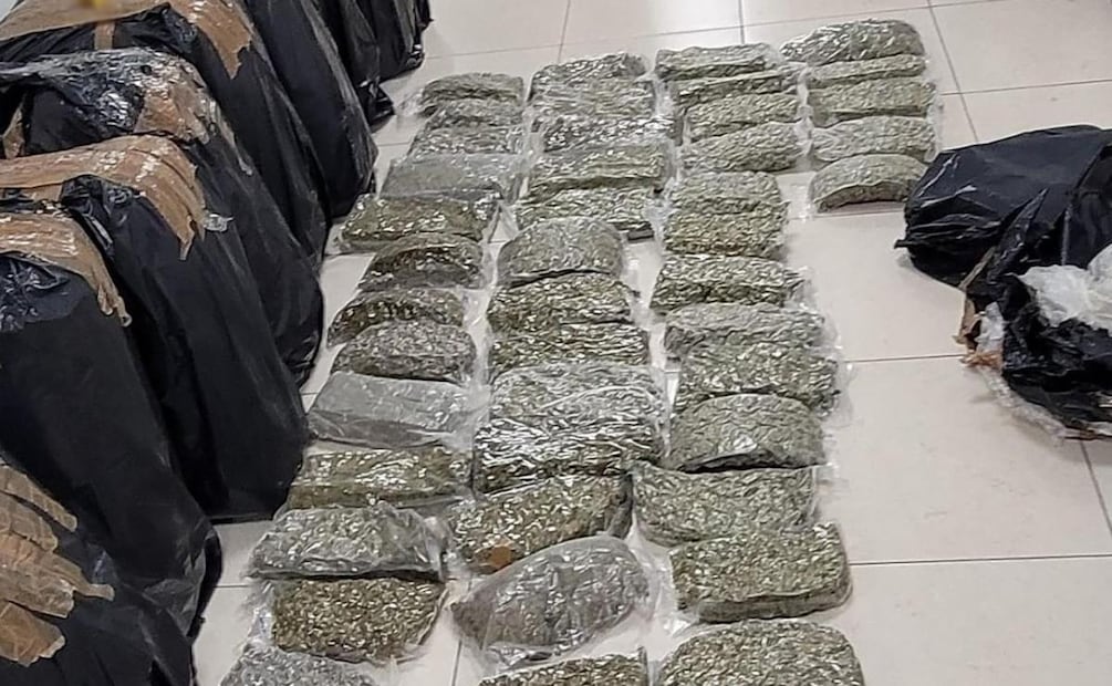 A los detenidos en CDMX y Edomex se les aseguraron vehículos, tractocamiones, 300 kg de marihuana, dosis de droga (26/03/2026). Foto: Especial