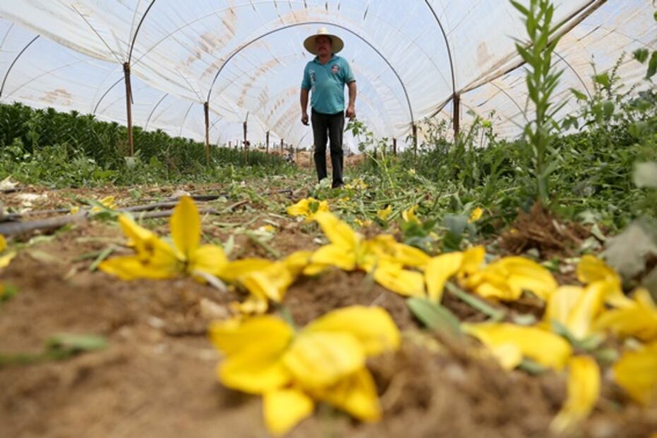 Coronavirus. Del campo a la basura
