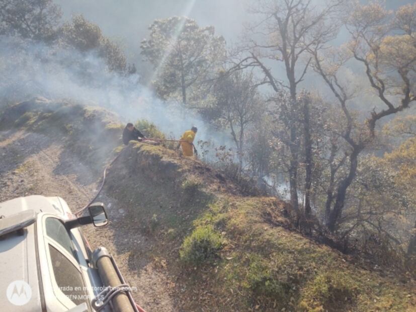Registran incendio forestal en zona montañosa central de Veracruz