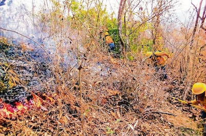 Incendios se concentran en centro y sur del país