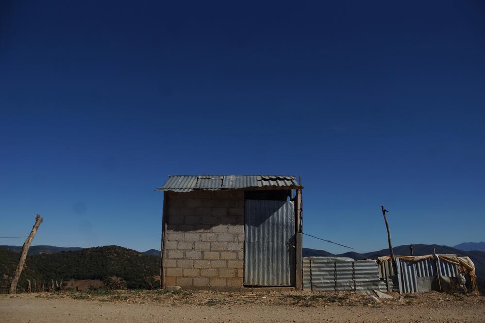 Foto: Edwin Hernández