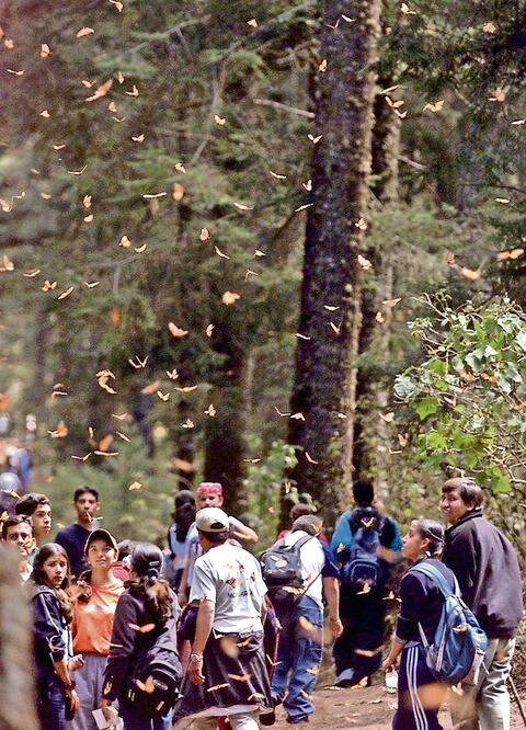 Dos proyectos. En México, el Banco Mundial apoya dos programas, uno sobre bosques y cambios climáticos, y otro más en las zonas económicas especiales (ARCHIVO EL UNIVERSAL)