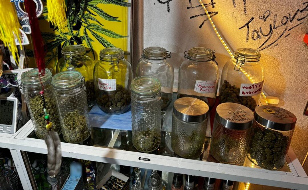 La SSC en coordinación con la FGJ y GN aseguran 24 kilos de marihuana y detienen a 4 en cateo en Coyoacán. Foto: Especial