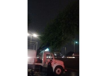 Cae árbol de 10 metros por lluvia en Circuito Interior