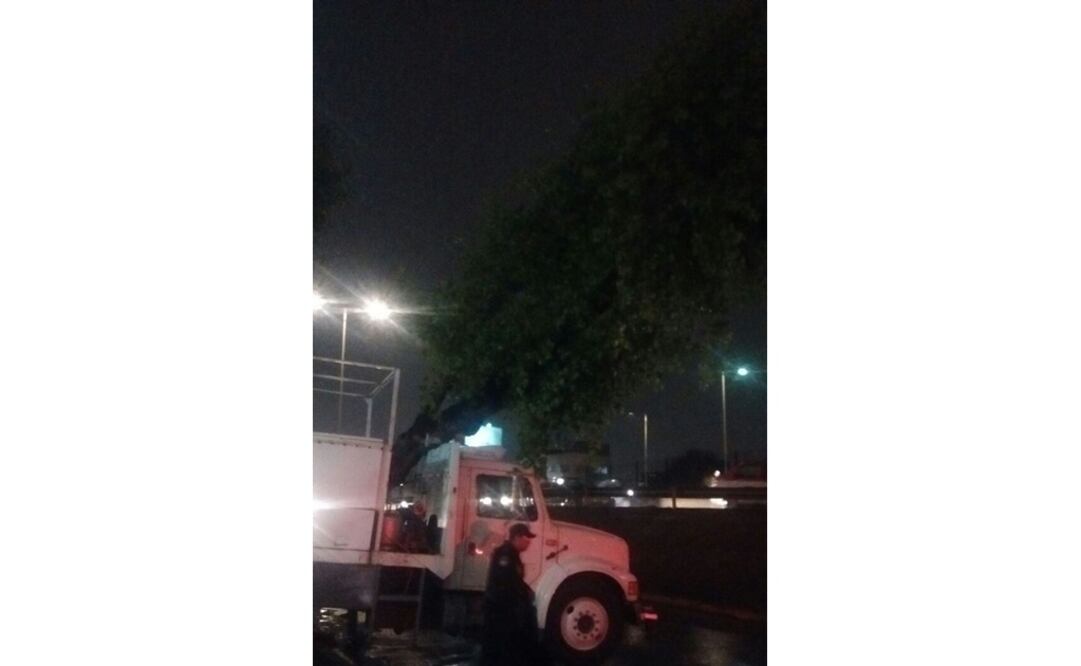 (Foto: Protección Civil CDMX)