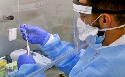 Reanudan ensayo con hidroxicloroquina