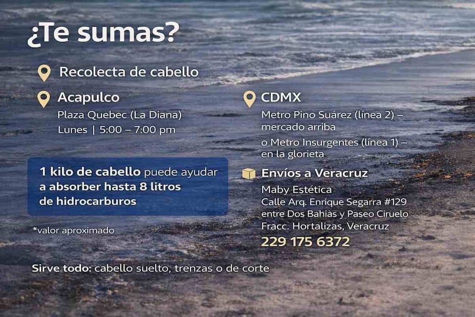 Centros de acopio de cabello en Acapulco, CDMX y Veracruz (26/03/2026). Foto: Especial