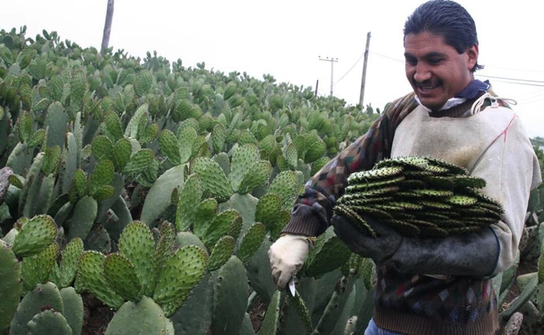 (FOTO: Archivo/EL UNIVERSAL)