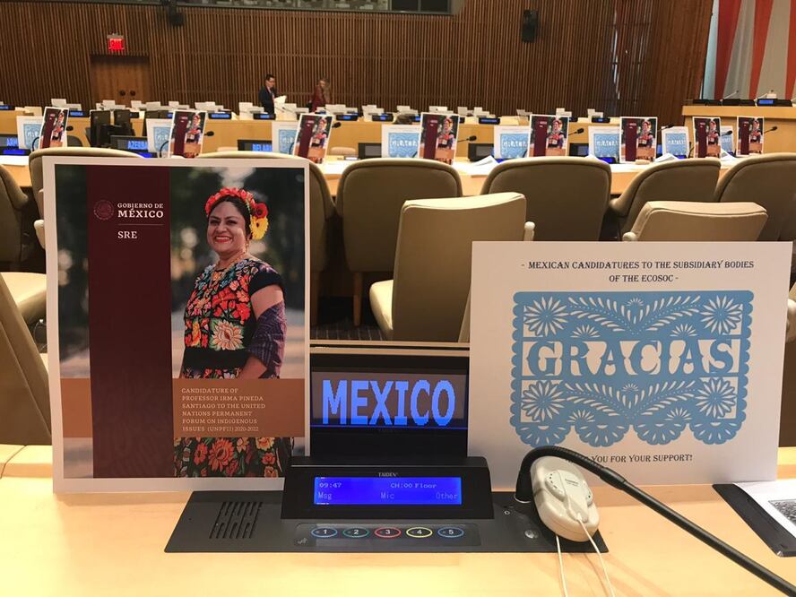 La escritora, poeta, ensayista y traductora indígena Irma Pineda fue nombrada como la representante del Foro sobre Cuestiones Indígenas ante la ONU (ESPECIAL)