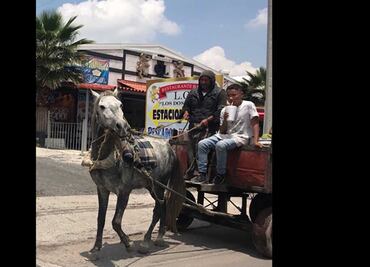 Adiós a caballos, mulas y burros, hola motos: prohíben uso de animales para recolección de basura en Tultepec