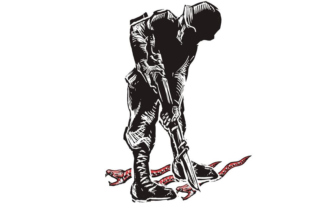 ¿Militares contra el monstruo de las aduanas?