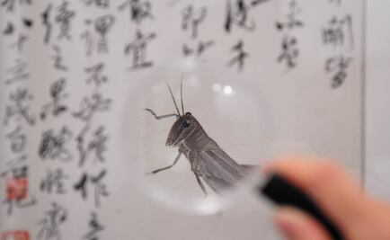 Bibliotecario robó obras de arte, colgó sus réplicas