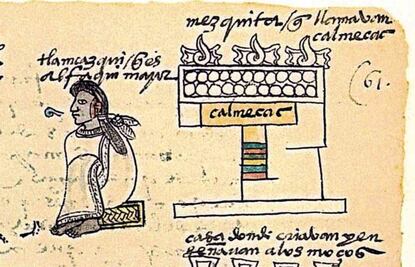 Tenían los mexicas escuela para "fifís"