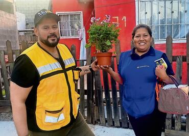 Destina recursos de campaña para donar árboles