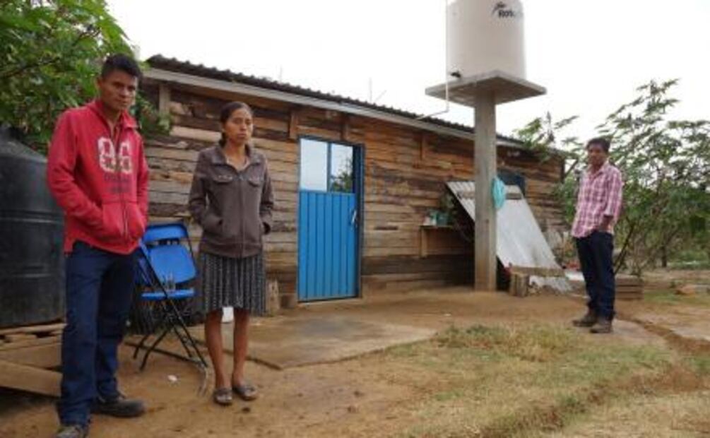 Perro pitbull desata tragedia en Oaxaca y termina en prisión