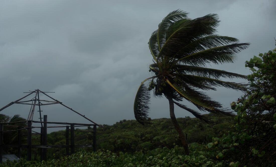 Foto: Archivo/ Cuartoscuro