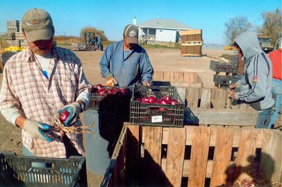 Temor a Donald Trump disparará remesas