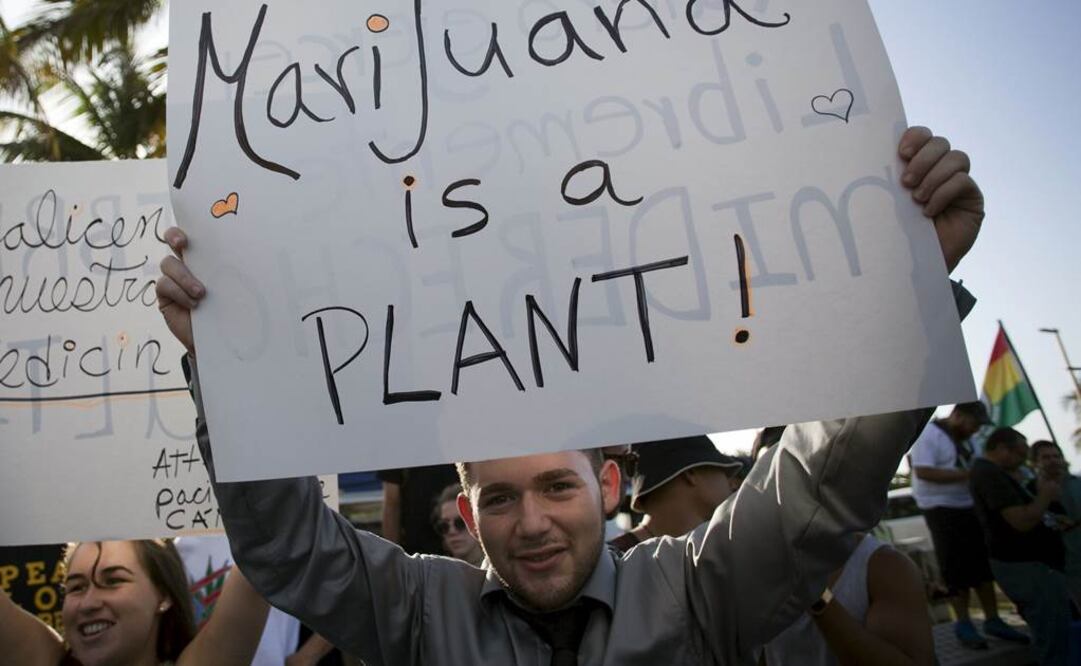 La Primera Iglesia del Cannabis se fundó como una prueba para la nueva ley de objeciones religiosas (Foto: Archivo EL UNIVERSAL)