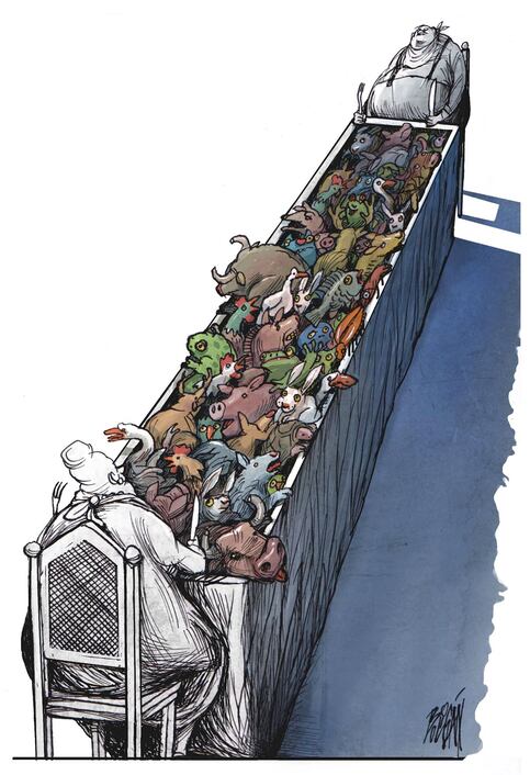 El fin de las especies