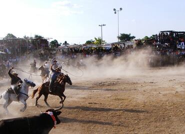 Congreso de Yucatán busca regular torneos de lazo para evitar accidentes