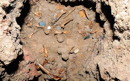 Águila real, evidencias de cautiverio mexica