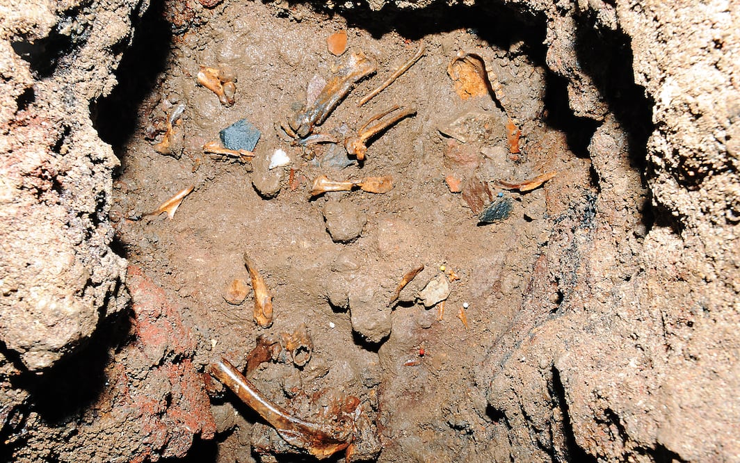 Imagen de una de las ofrendas excavadas en Templo Mayor donde se encontraron restos de águilas (FOTOS: CORTESÍA PROYECTO TEMPLO MAYOR)