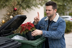 ¡No tires tu nochebuena! Instalan centros de acopio en CDMX para donar la flor: ¿cuándo y dónde llevarla?