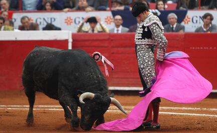 Suprema Corte avala que niño de 5 años de BC entre a una corrida de toros