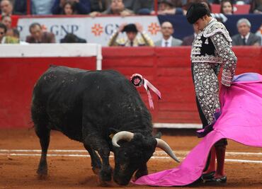 Suprema Corte avala que niño de 5 años de BC entre a una corrida de toros