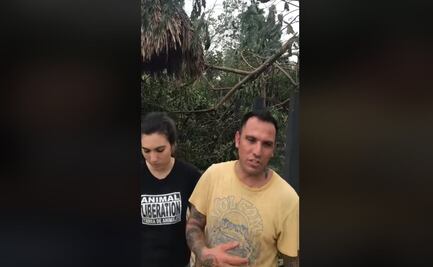 "Necesitamos manos", dice hombre que resguardó a 300 perros por "Delta"