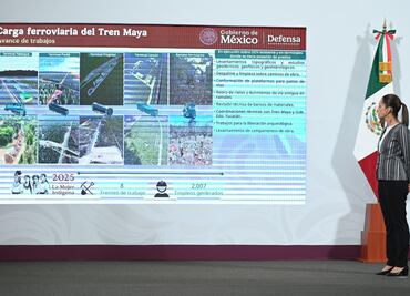 Avanza construcción de trenes de pasajeros en México; habrá trenes eléctricos e híbridos: Andrés Lajous