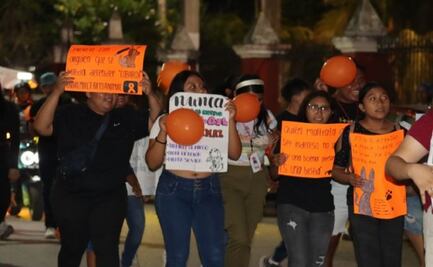 Exigen justicia para perros envenenados en Yucatán