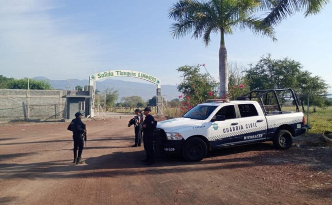 Garantizan abasto de limón en Michoacán; operativos han frenado extorsiones y violencia. Foto: Especial