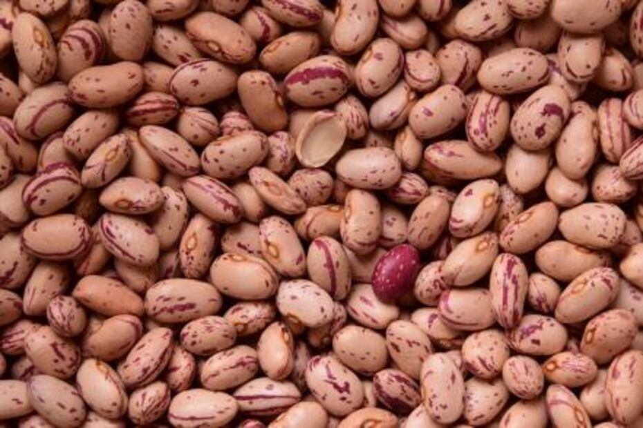 7 razones para comer frijoles