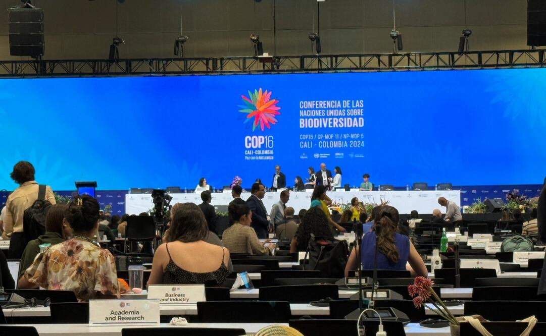 Sesión plenaria de la ONU durante la COP 16. Foto: Iván Carrillo