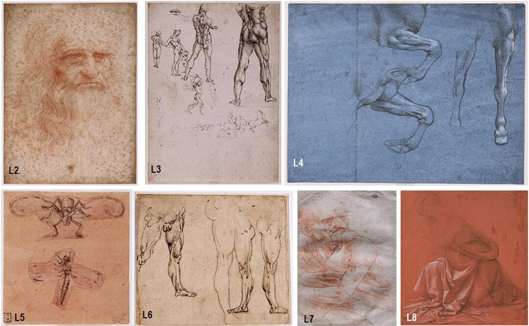 Dibujos analizados de Leonardo Da Vinci. Foto: Captura de  Frontiers in Microbiology