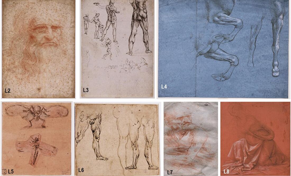 Dibujos analizados de Leonardo Da Vinci. Foto: Captura de Frontiers in Microbiology