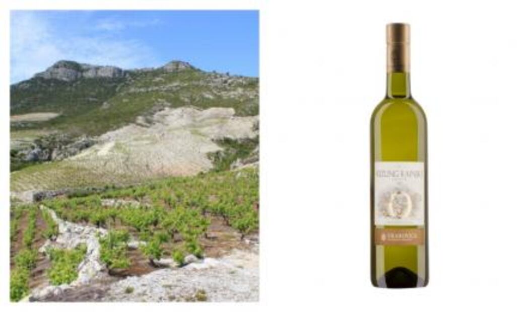 ¿Qué tanto sabes acerca de los vinos de Croacia?