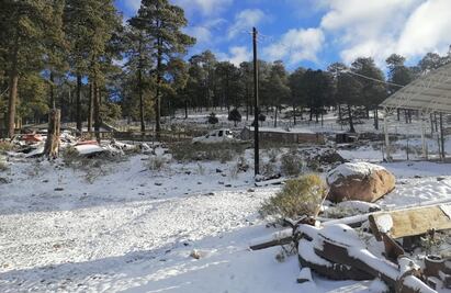 En estos estados habrá lluvias fuertes y heladas por el frente frío 22 este domingo 8 de enero 