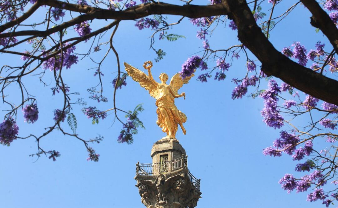 Mexico City has become one of the most attractive, captivating, and interesting cities in the world - Photo: Adrián Hernández/EL UNIVERSAL