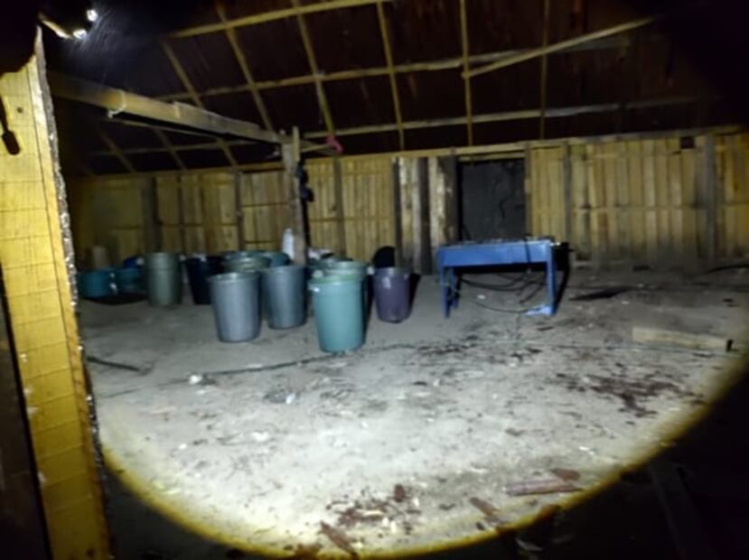 Desmantelan fuerzas federales narcolaboratorio en Morelia